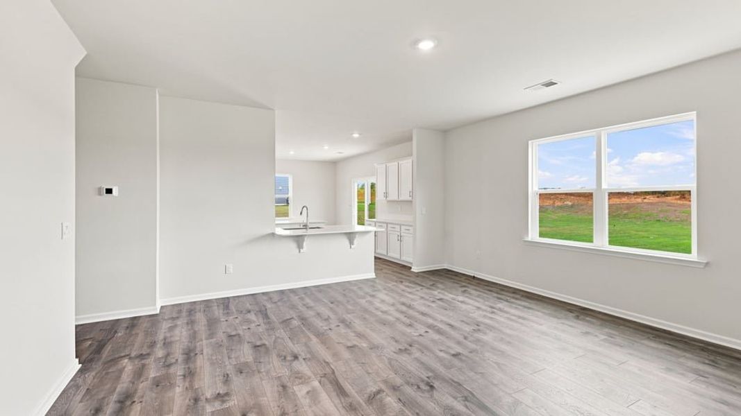 Spacious, unfurnished interior of a new home in Chestnut Ridge, Greenville (Image 23).