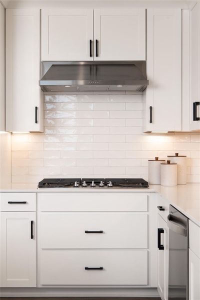 Close-up of interior finishes inside a home in Covered Bridge, Hutto (Image 21).