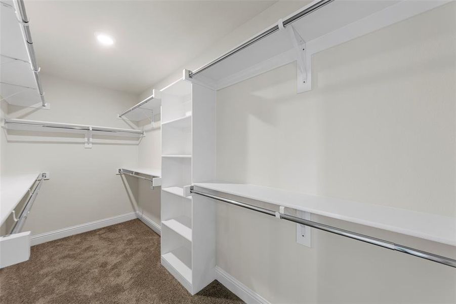 Walk in closet with dark colored carpet