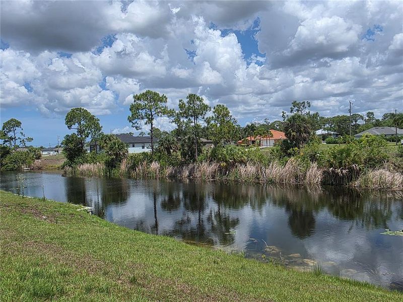 Natural landscape and outdoor views near  in Cape Coral (Image 42).