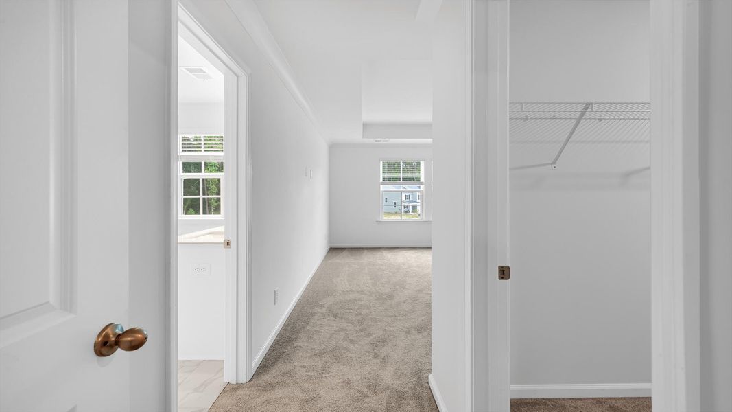 Spacious, unfurnished interior of a new home in Creekside at Andrews, Summerville (Image 24). Spacious, unfurnished interior of a new home in Creekside at Andrews, Summerville (Image 24).