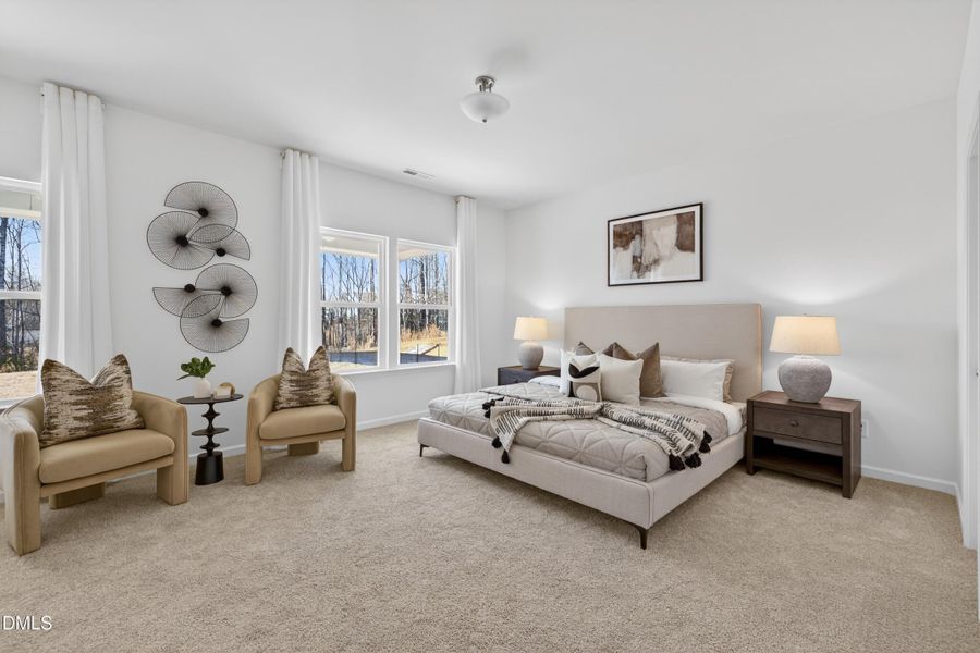 CRF 255 Wayne 2672 EB1 EO (16)