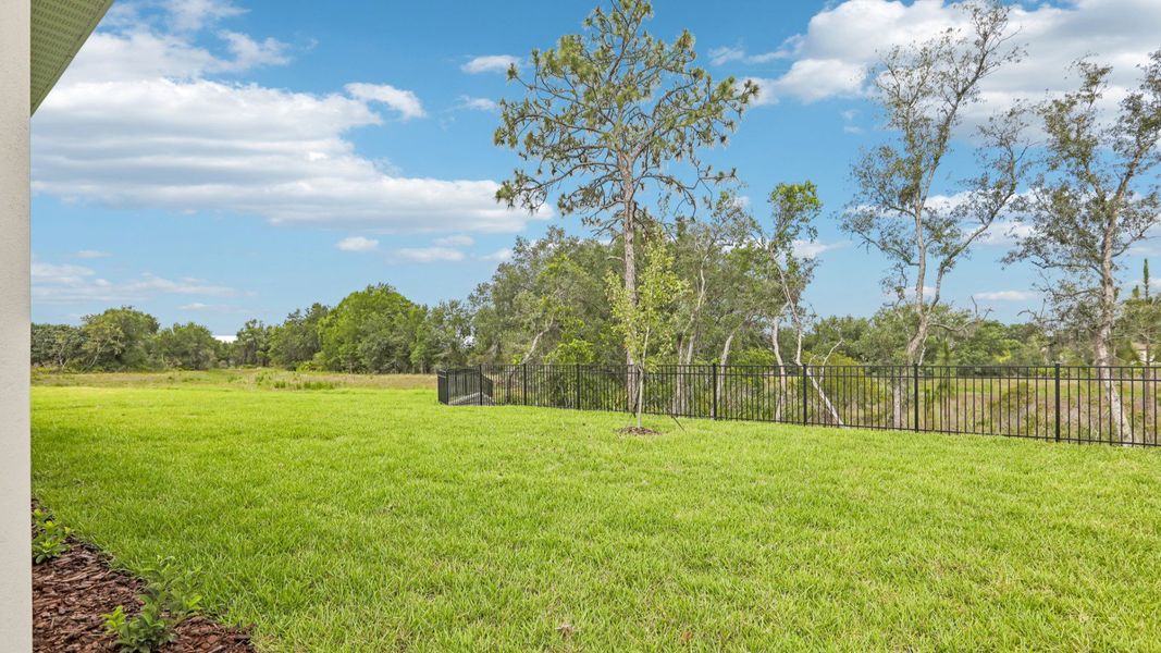 The Backyard