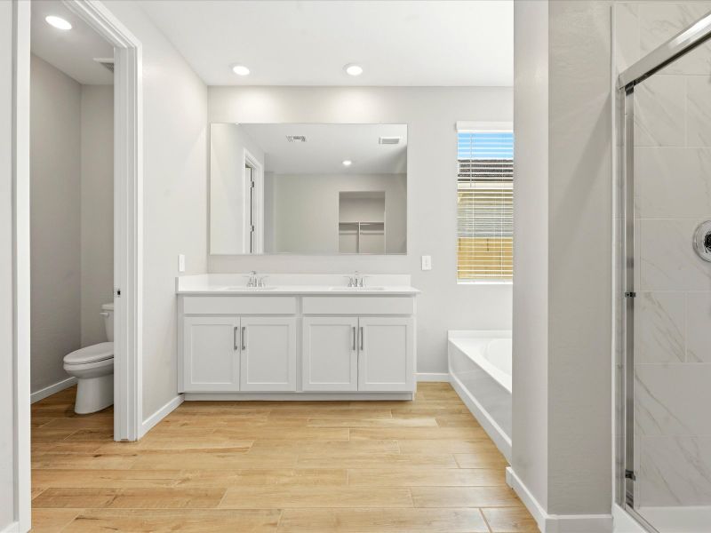 Furnished interior view inside a new home in White Tank Foothills Reserve Series, Waddell (Image 9).
