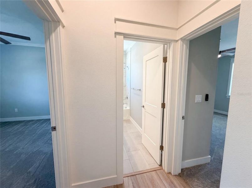 Spacious, unfurnished interior of a new home in , Dunedin (Image 46).