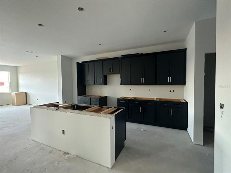 In-progress construction of a new home in Oakfield Trails Traditional, Parrish, FL (Image 22).