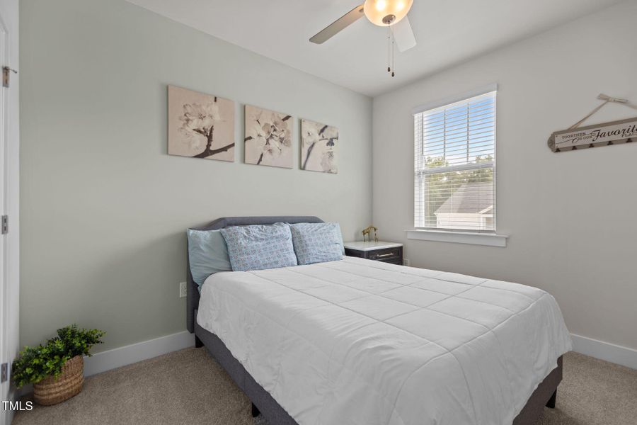 5-web-or-mls-2N6A5968