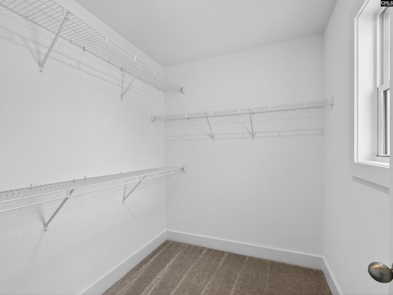 Spacious, unfurnished interior of a new home in Collins Cove, Chapin (Image 54).