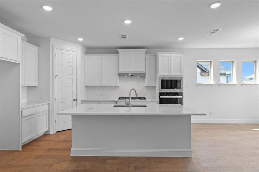 DAL_Painted Tree_Mineola_4020 Clingsman Way (7)