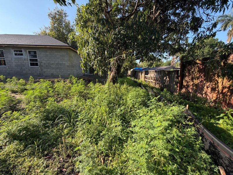 Natural landscape and outdoor views near  in Fort Myers (Image 25).