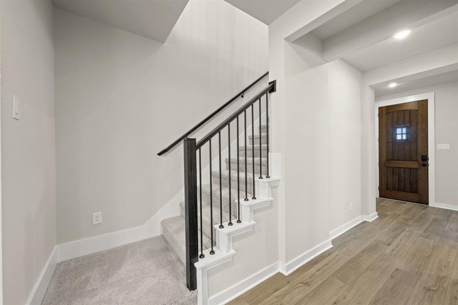 6_8776 Treeline- Entry-1