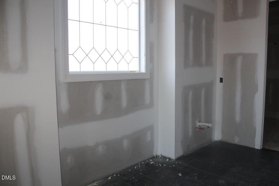 IMG_6959 (Medium) IMG_6959 (Medium)