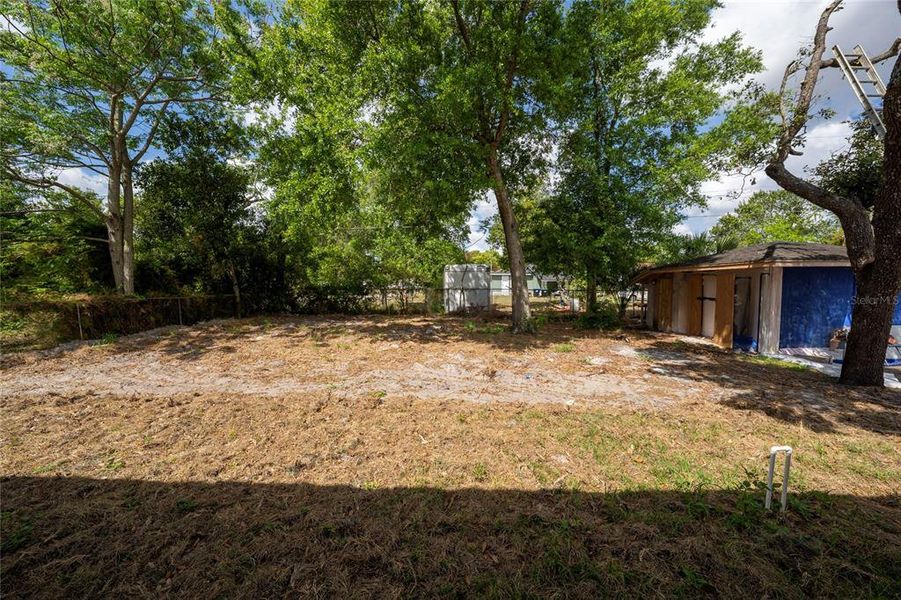 Natural landscape and outdoor views near  in Orlando (Image 22).