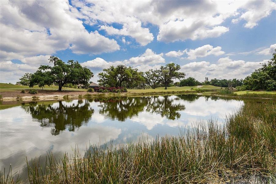 Natural landscape and outdoor views near  in Fort Myers (Image 32).