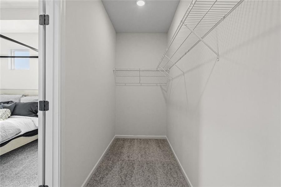 Spacious, unfurnished interior of a new home in Trinity Station, Auburn (Image 19).