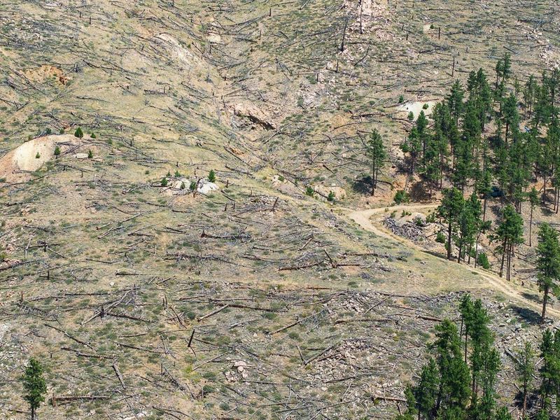 Natural landscape and outdoor views near  in Boulder (Image 10).