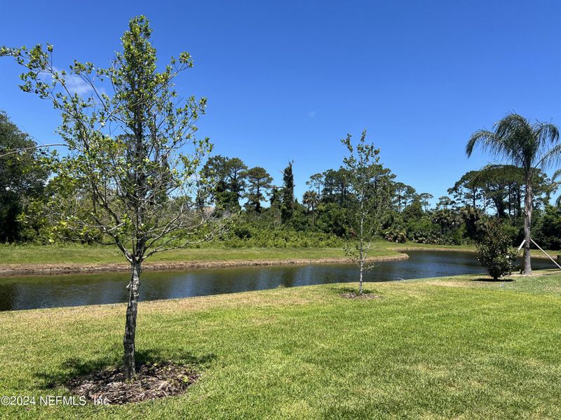 Natural landscape and outdoor views near Marshes of Madeira in St. Augustine (Image 30).