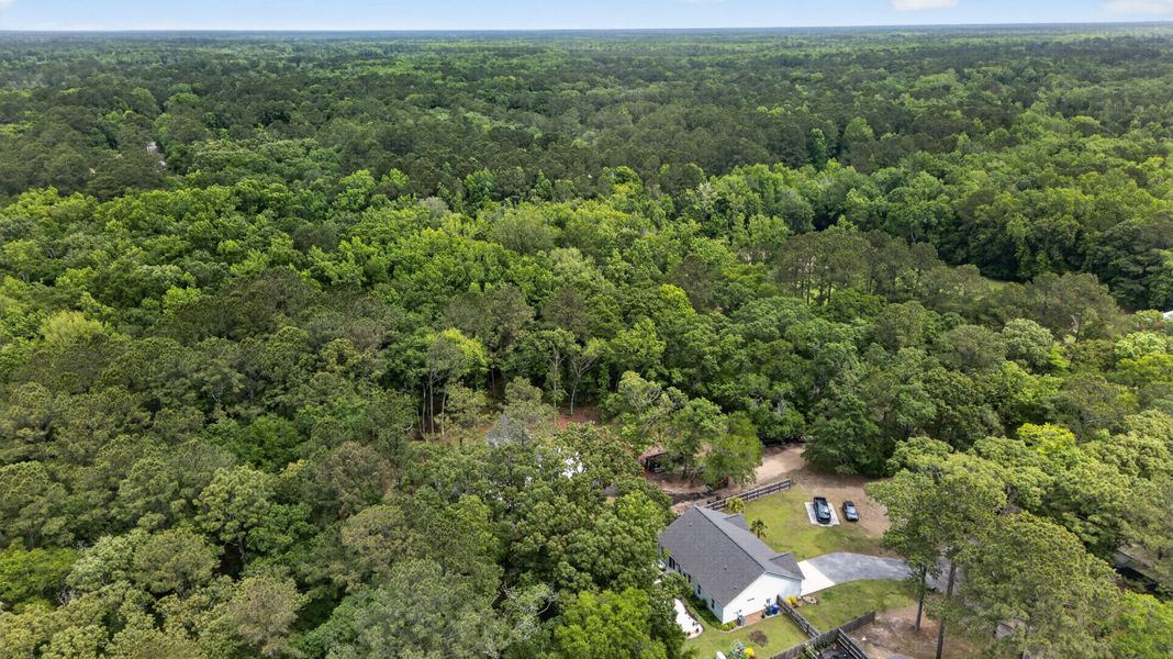 Natural landscape and outdoor views near  in Johns Island (Image 39).
