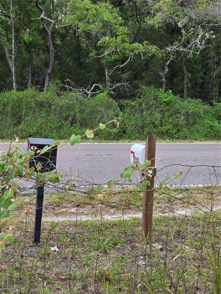 Natural landscape and outdoor views near  in Spring Hill (Image 32).