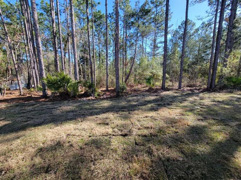 Natural landscape and outdoor views near Marion Oaks in Ocala (Image 23).