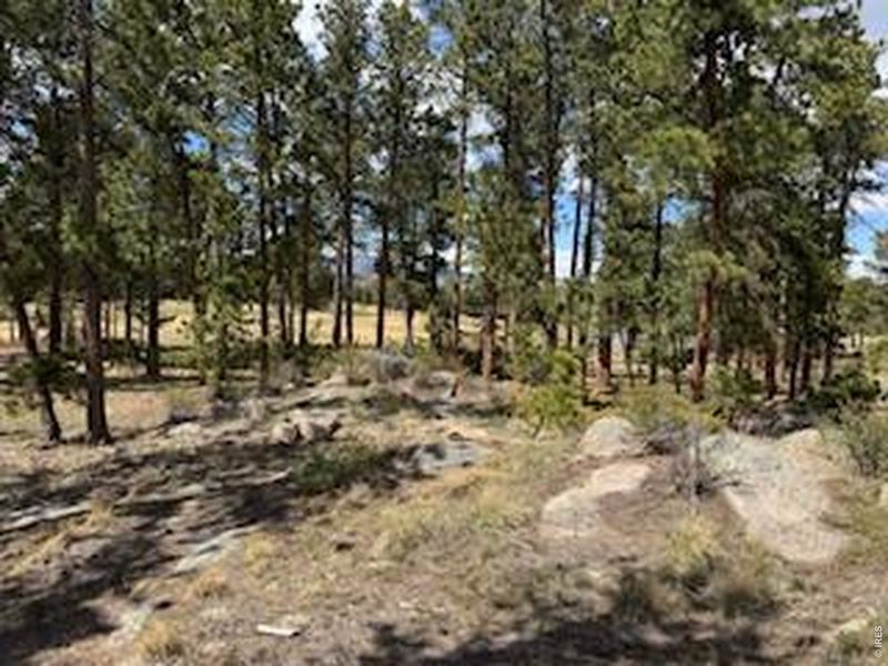 Natural landscape and outdoor views near  in Red Feather Lakes (Image 22).