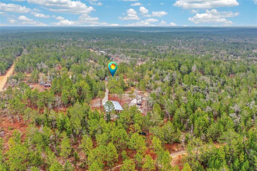 Natural landscape and outdoor views near  in Interlachen (Image 57).