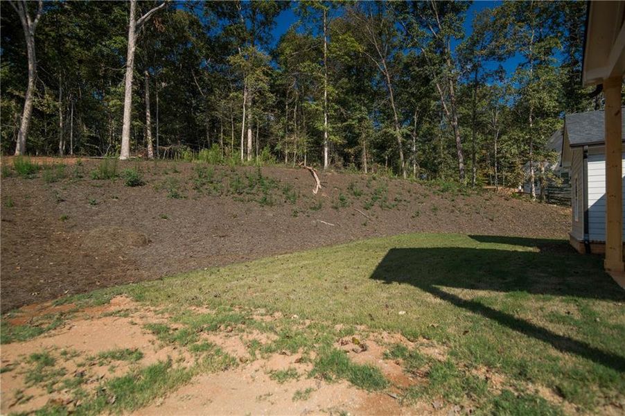 Natural landscape and outdoor views near  in Clermont (Image 56).