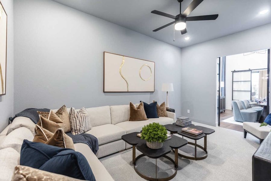 Entertainment Room