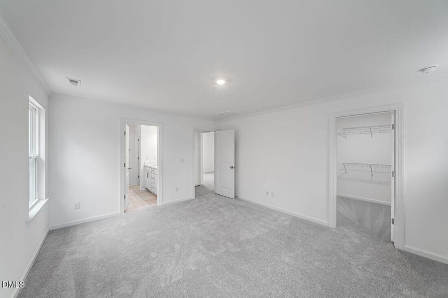 hj-nc-raleigh-eagle-trace-stella-lot-108