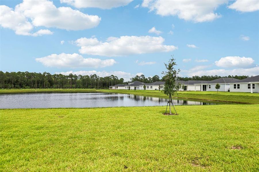 Natural landscape and outdoor views near Flagler Village - Signature Series in Palm Coast (Image 41). Natural landscape and outdoor views near Flagler Village - Signature Series in Palm Coast (Image 41).