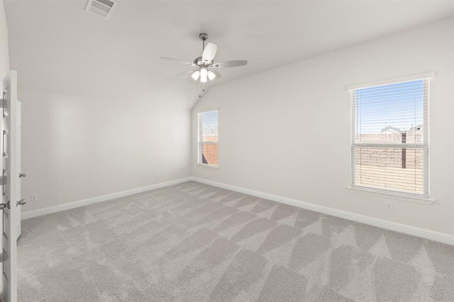 18. 3017 Rembrandt - Primary