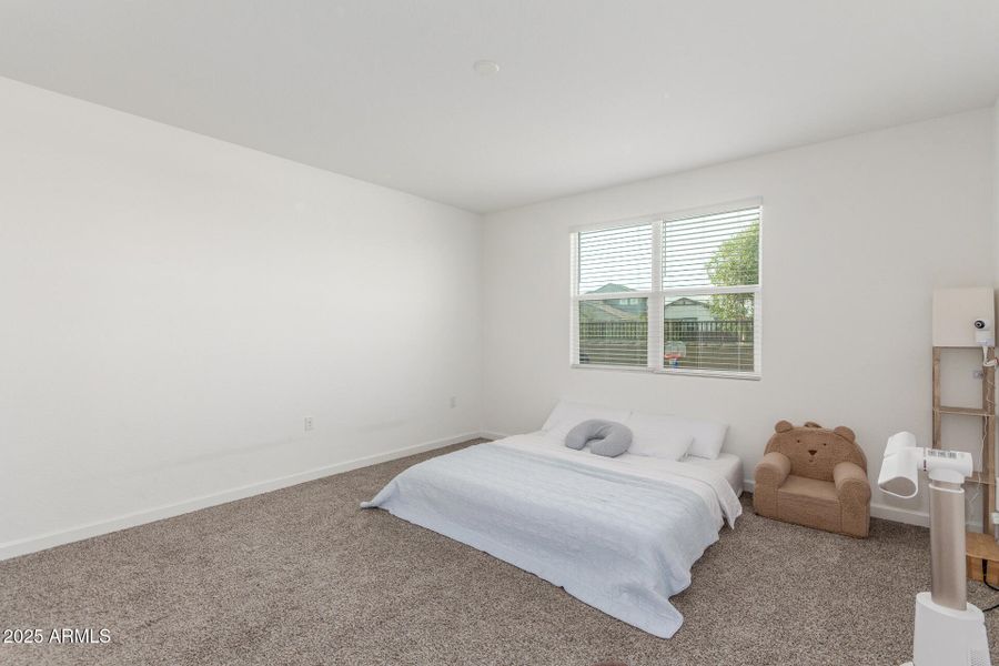 18 Shanley 18 Shanley