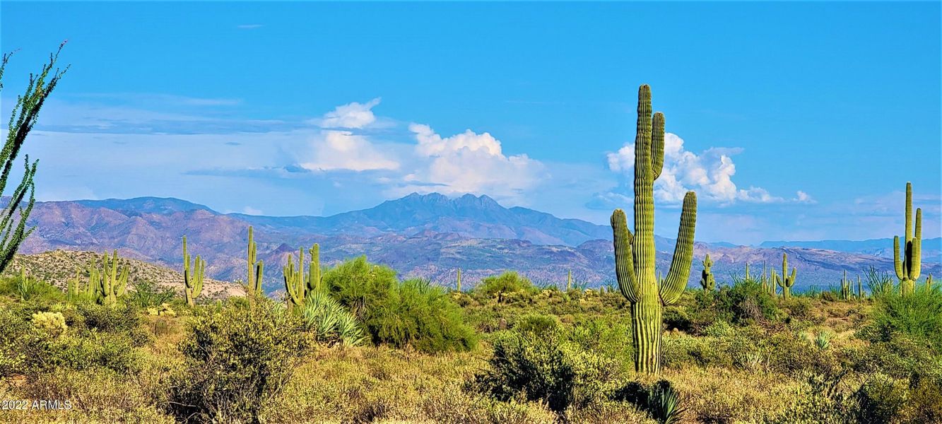 Mt. views in every direction!