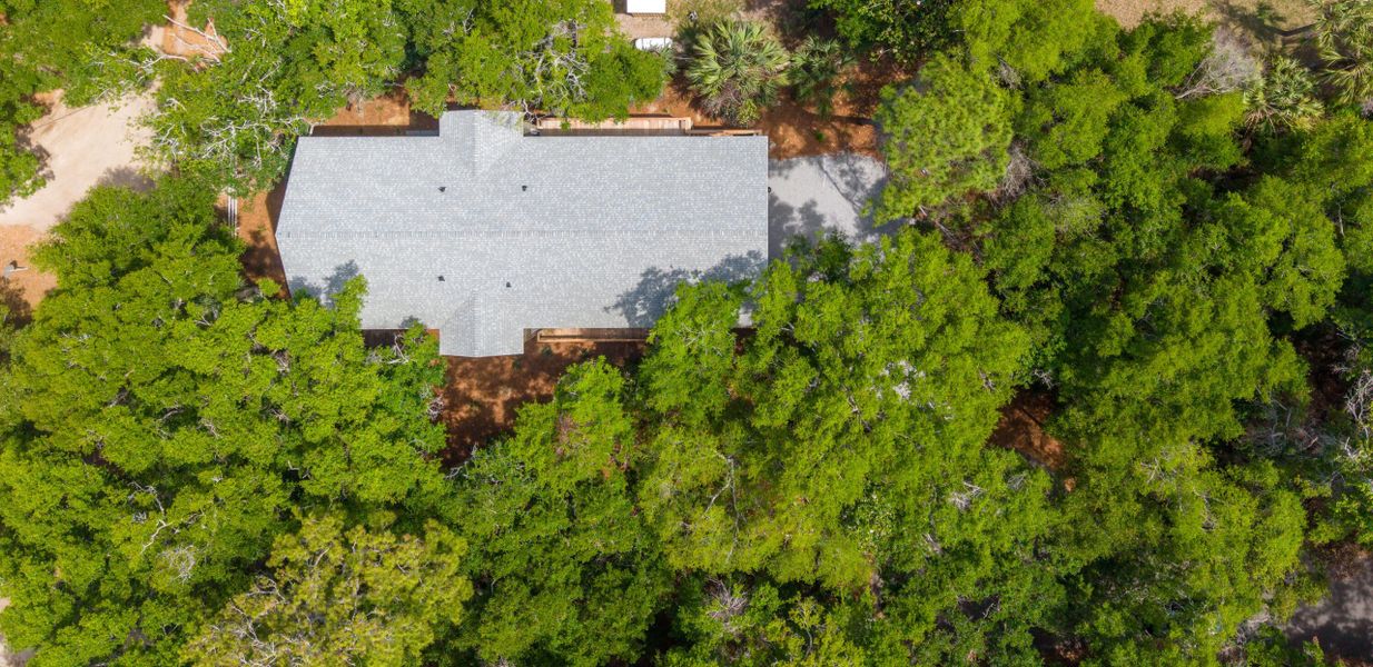 Natural landscape and outdoor views near  in Edisto Island (Image 47).