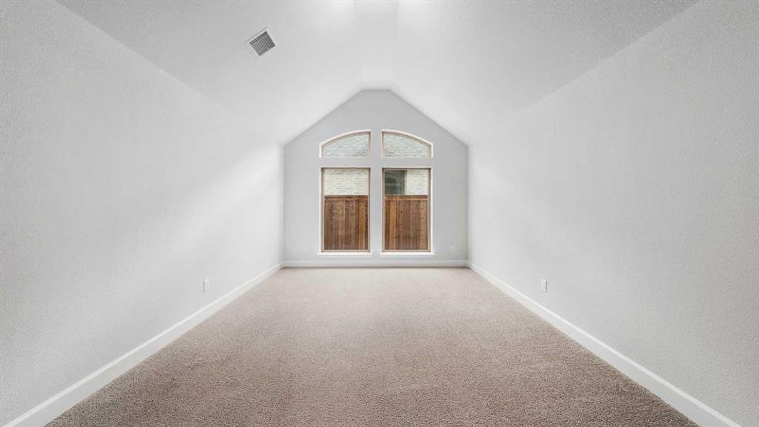 Unfurnished room featuring vaulted ceiling and carpet floors