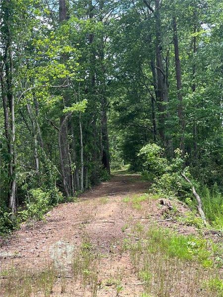 Natural landscape and outdoor views near Linden Grove in Powder Springs (Image 31). Natural landscape and outdoor views near Linden Grove in Powder Springs (Image 31).
