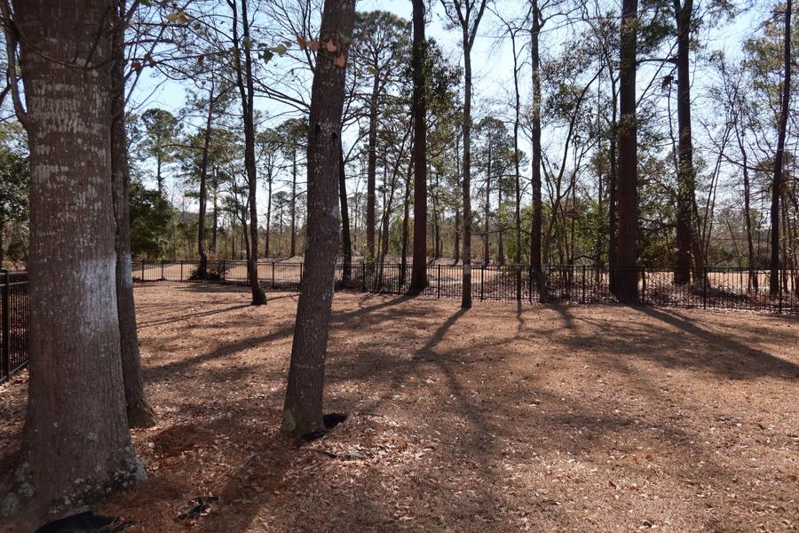 Natural landscape and outdoor views near  in Santee (Image 36).