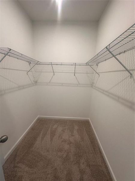 Spacious, unfurnished interior of a new home in Rainwood, Groveland (Image 7).