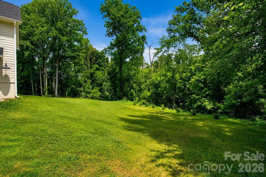 Natural landscape and outdoor views near  in Concord (Image 41).