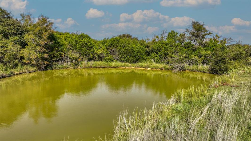 Image 33 of a home in .