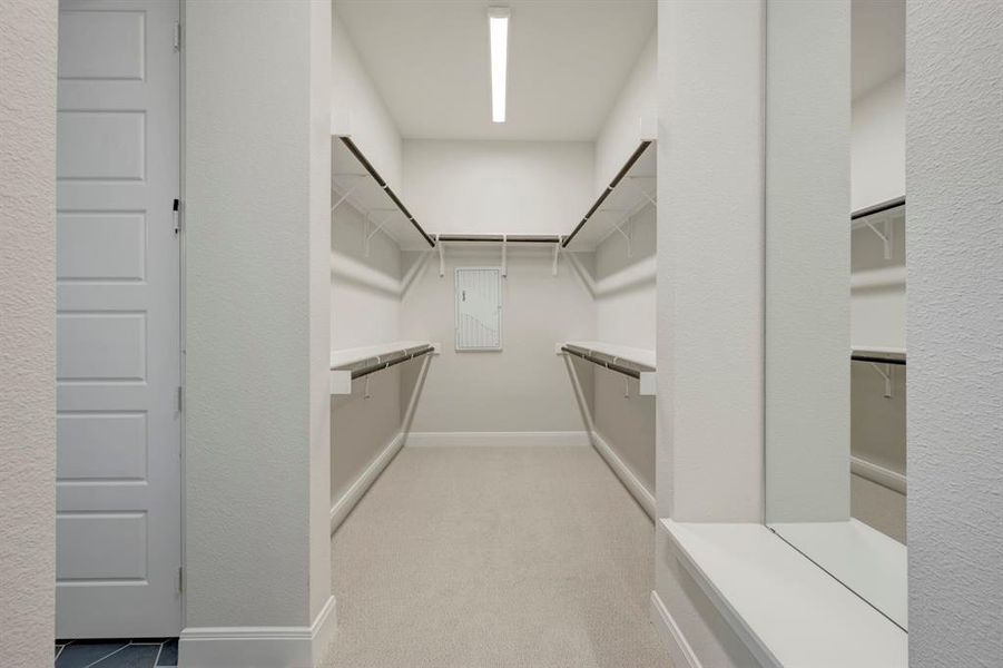 Walk in closet with light colored carpet