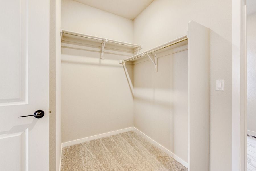 13712 DAFFODIL POINT, Parker, CO.  - Slide 24