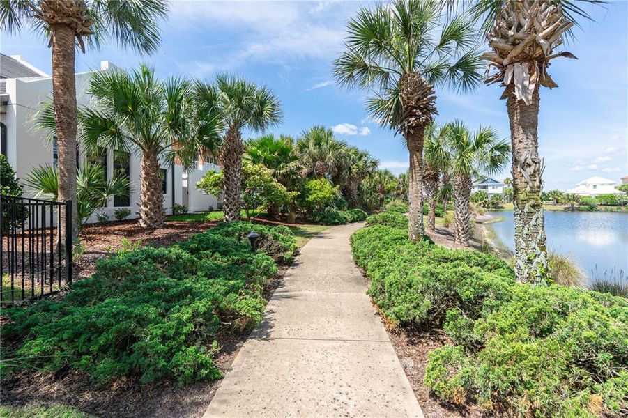 Natural landscape and outdoor views near  in Palm Coast (Image 81).