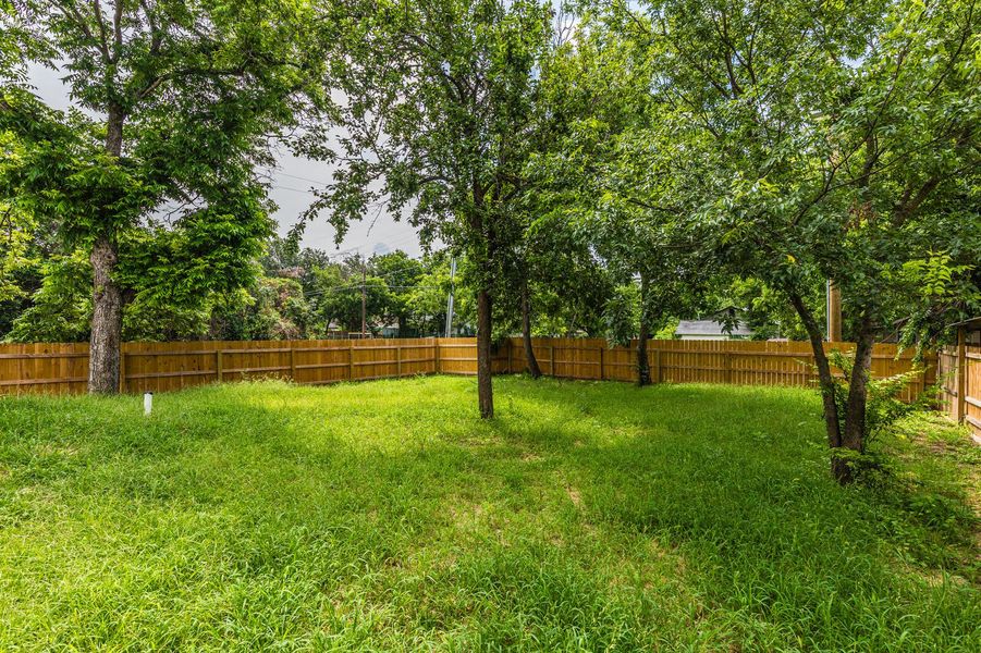 View of fenced backyard