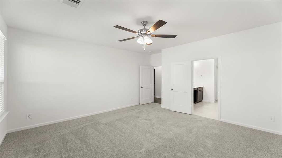 14. 10904 Cacao - Primary (2)