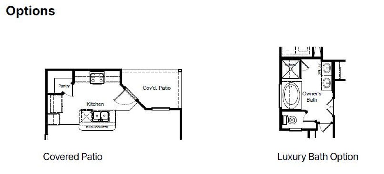 Rembrandt Options Rembrandt Options