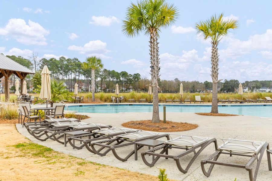 Community amenities in Carolina Park: Riverside, Mount Pleasant (Image 48). Community amenities in Carolina Park: Riverside, Mount Pleasant (Image 48).