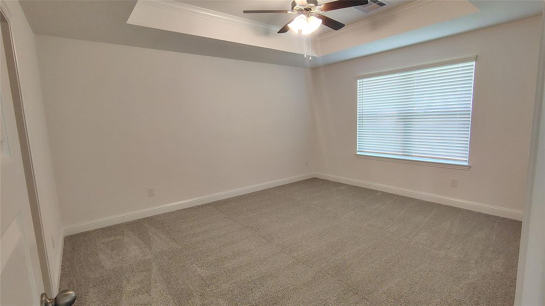 Primary Bedroom with Trey Ceiling and crown Molding Primary Bedroom with Trey Ceiling and crown Molding