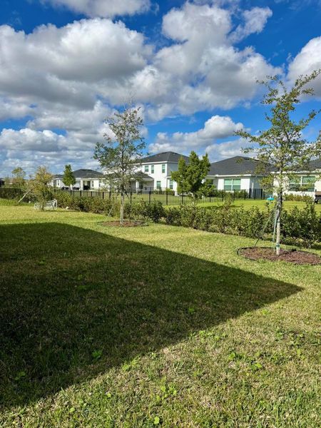 Natural landscape and outdoor views near in Port St. Lucie (Image 35). Natural landscape and outdoor views near in Port St. Lucie (Image 35).