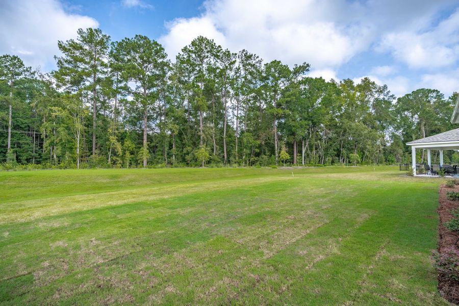 Natural landscape and outdoor views near Del Webb Charleston at Nexton in Summerville (Image 52). Natural landscape and outdoor views near Del Webb Charleston at Nexton in Summerville (Image 52).